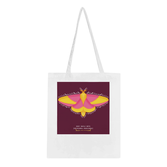 cc8f9864-2235-4b77-a359-6815028d3355