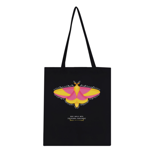 e77bd946-666c-4de8-8bad-8f3809bbd89f